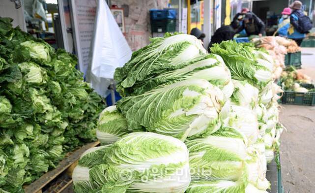 시장 가게 앞에 쌓여 있는 배추와 상추 등 신선한 채소들