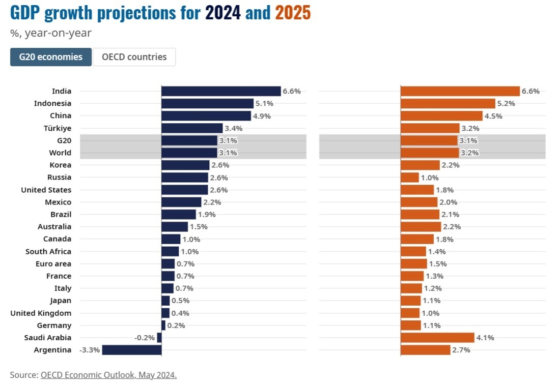 2024년과 2025년 G20 국가 및 세계의 GDP 성장률 전망을 막대그래프로 나타낸 이미지. 인도, 인도네시아, 중국이 두 해 모두 가장 높은 성장률을 보이며, 아르헨티나는 2024년에 마이너스 성장 후 2025년에 회복세를 보임. 전체적으로 2024년과 2025년의 G20 및 세계 평균 성장률은 약 3.1~3.2%로 비슷함.