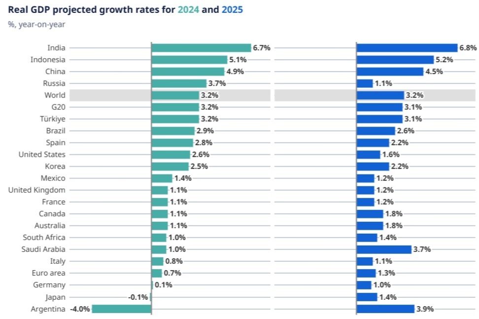 글로벌 인플레이션과 생활비 위기: 2025년 전망과 실질적 대응 전략 9 2024년과 2025년 국가별 실질 GDP 성장률 전망치를 보여주는 막대그래프. 인도, 인도네시아, 중국이 두 해 모두 가장 높은 성장률을 기록하며, 아르헨티나는 2024년에 -4.0%로 가장 낮고 2025년에는 3.9%로 회복이 예상됨. 주요 선진국들은 1~2%대의 낮은 성장률을 보임.