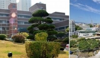 image ab46ed64 7182 4544 bb17 5c36cfb61a30